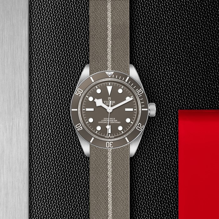 Tudor Black Bay 58-925