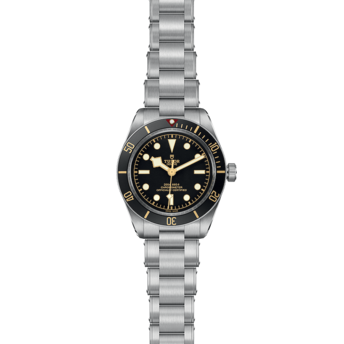 Tudor Black Bay 58