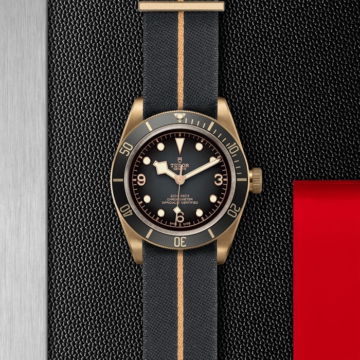 Tudor Black Bay Bronze