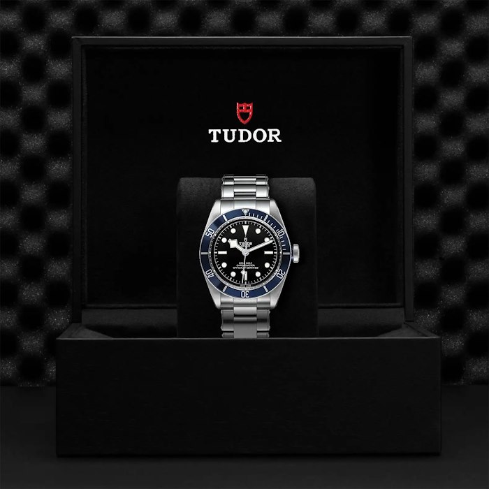 Tudor Black Bay