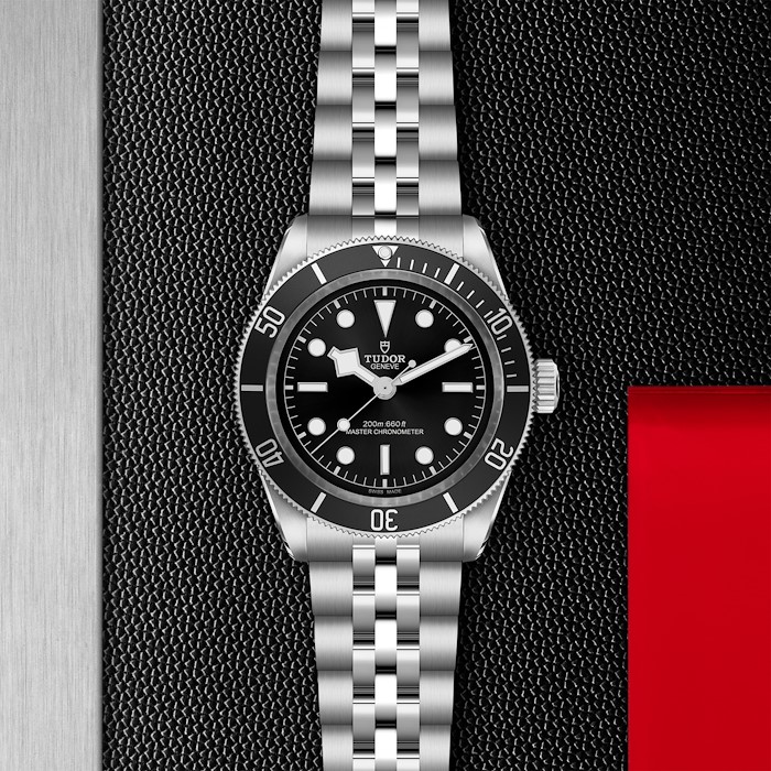 Tudor Black Bay
