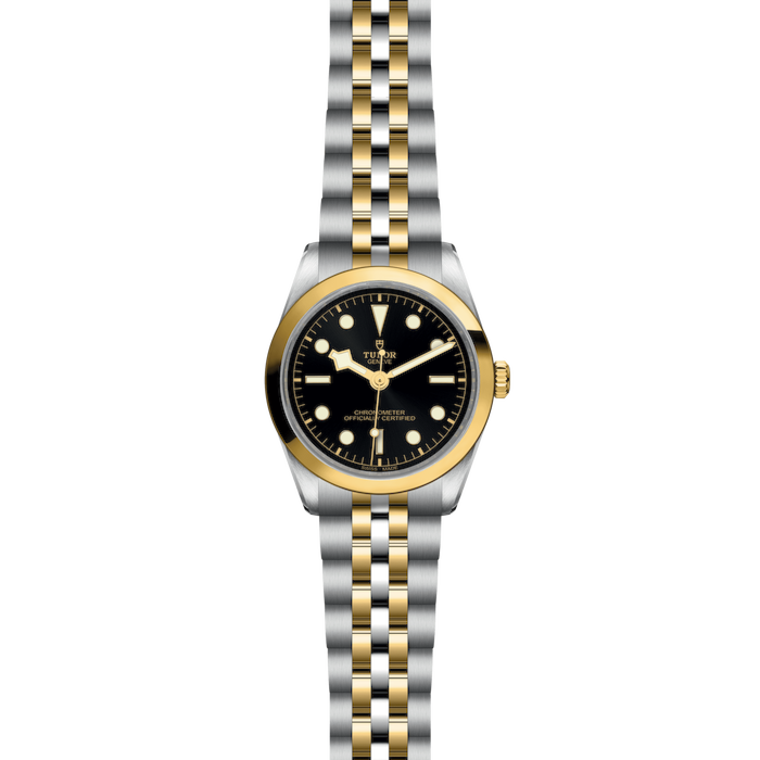 Tudor Black Bay One 36 S&G
