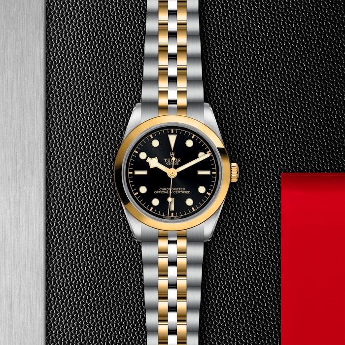 Tudor Black Bay One 36 S&G