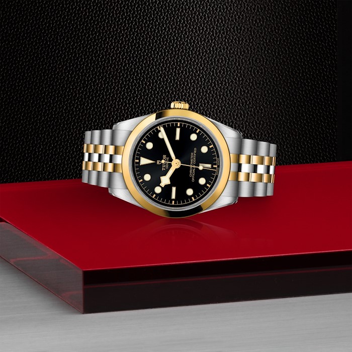 Tudor Black Bay One 36 S&G