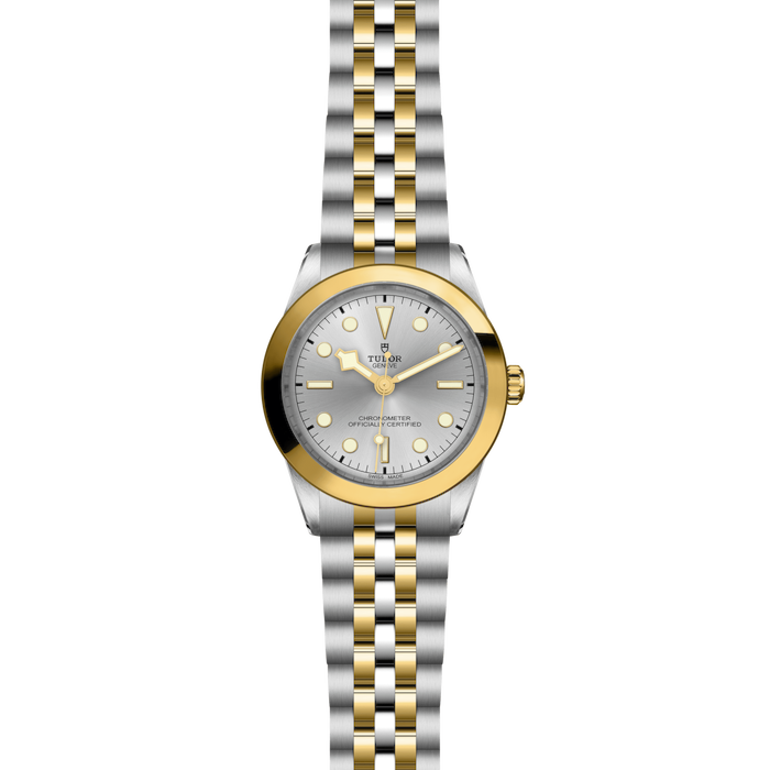 Tudor Black Bay One 39 S&G