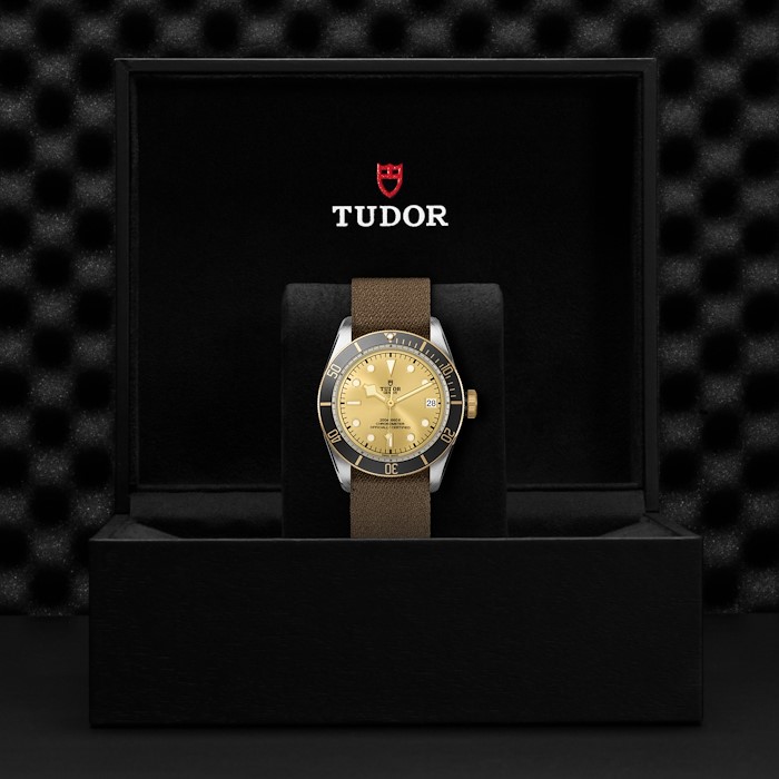 Tudor Black Bay S&G