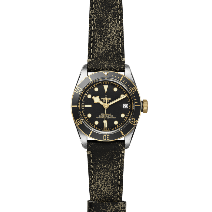 Tudor Black Bay S&G