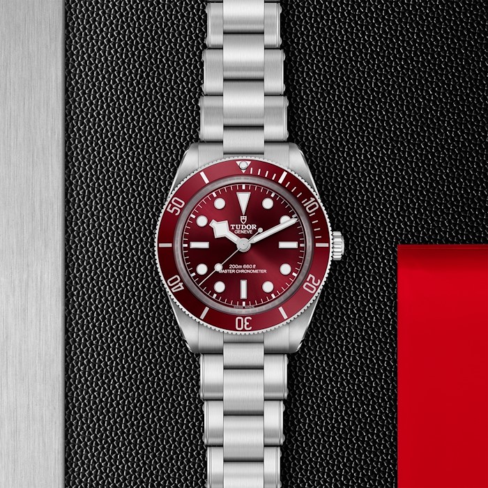 Tudor Black Bay 58