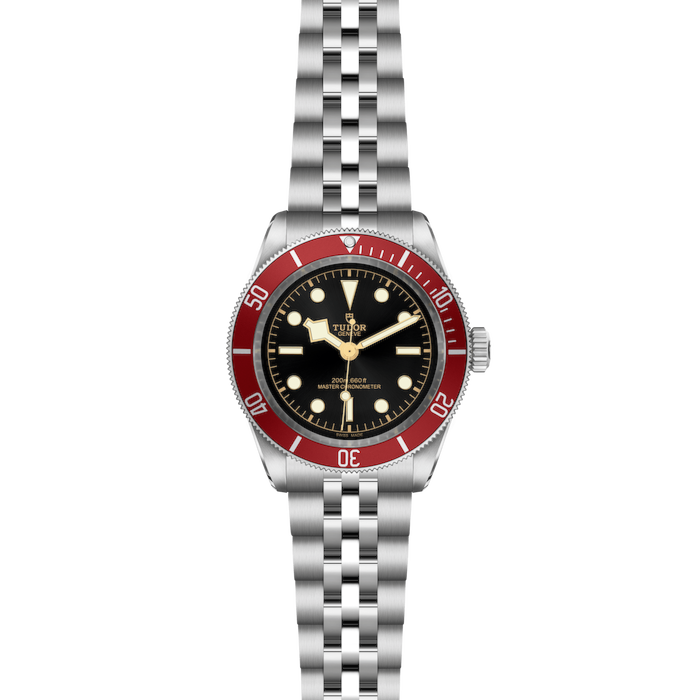 Tudor Black Bay