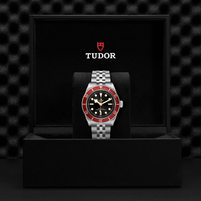 Tudor Black Bay