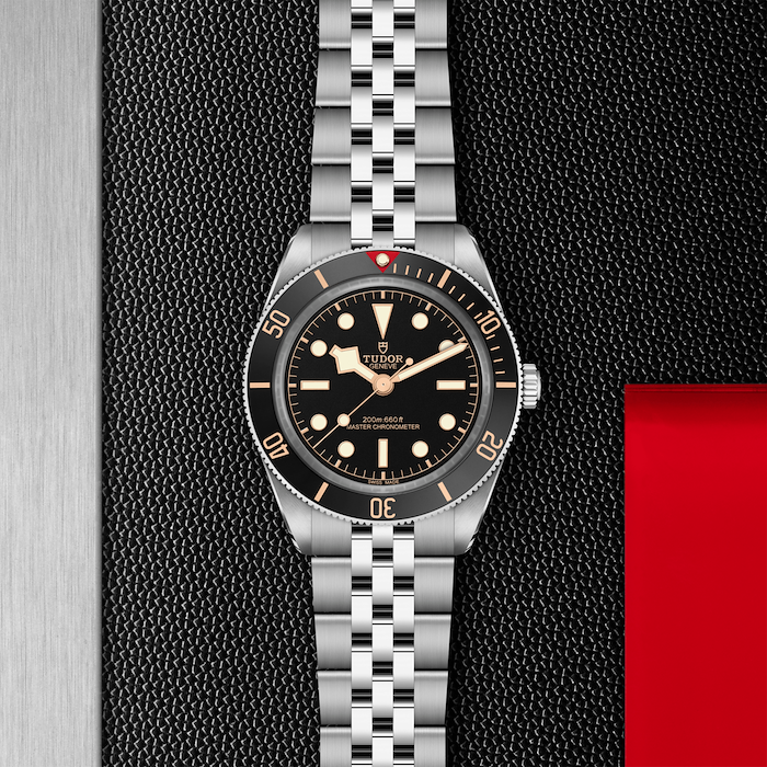 Tudor Black Bay 54