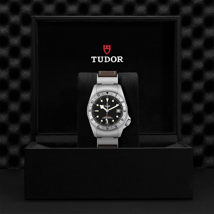 Tudor Black Bay P01