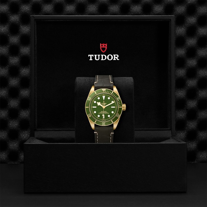 Tudor Black Bay 58 18K