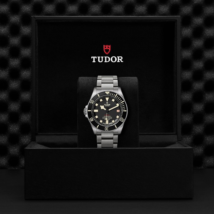 Tudor Pelagos LHD