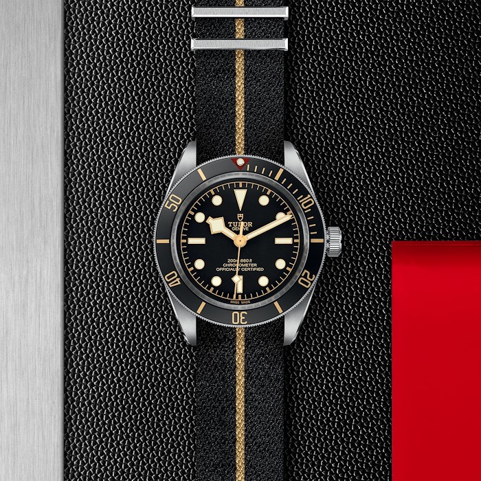 Tudor Black Bay 58