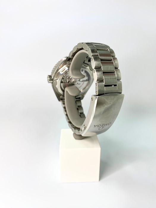 Omega Seamaster Planet Ocean