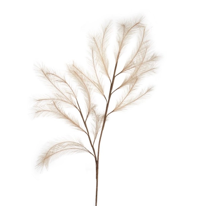 L'Ocanera Pampas Naturale