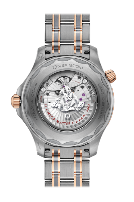 Omega Seamaster Diver 300M