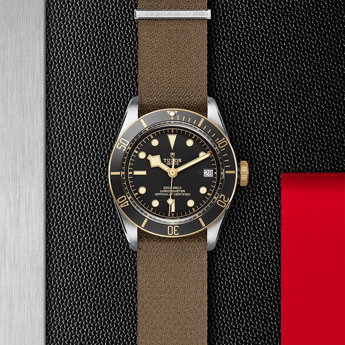 Tudor Black Bay S&G