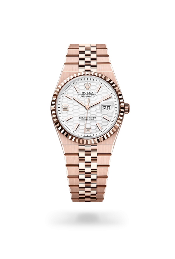 Rolex Land-Dweller 36 in Oro Everose 18 ct, M127235-0001